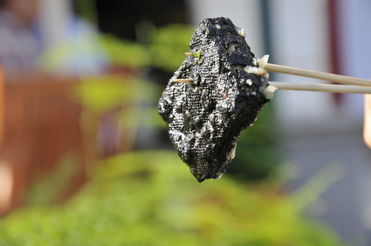 中華美食 長沙臭豆腐