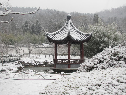 飛雪亭林