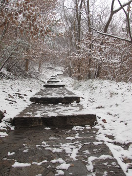 山路殘雪