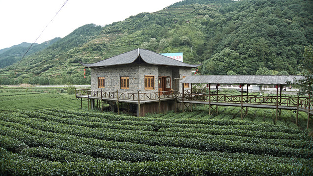 農(nóng)莊