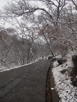 瑯琊山古道殘雪