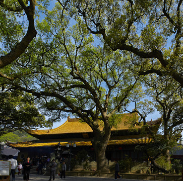 寺廟