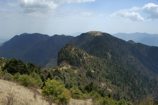 湖北神農(nóng)架自然保護(hù)區(qū)
