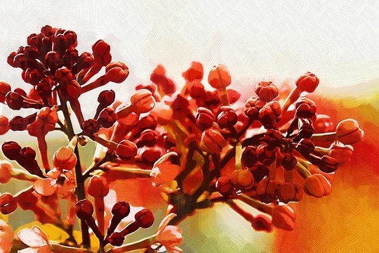裝飾畫丁香花