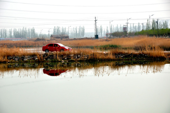 關(guān)海濕地公園