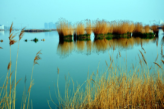關(guān)海濕地公園