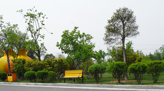 園林景觀