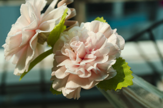 清新香水花朵