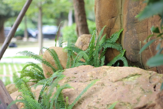 公園一角