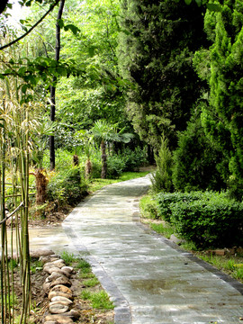 林間小路