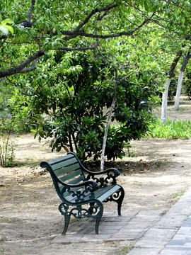 公園 椅子