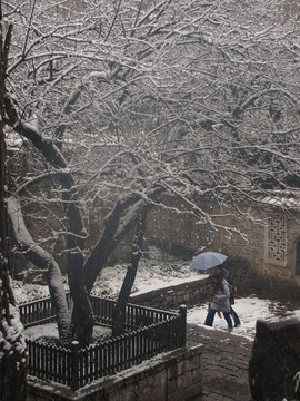 歐梅傲雪