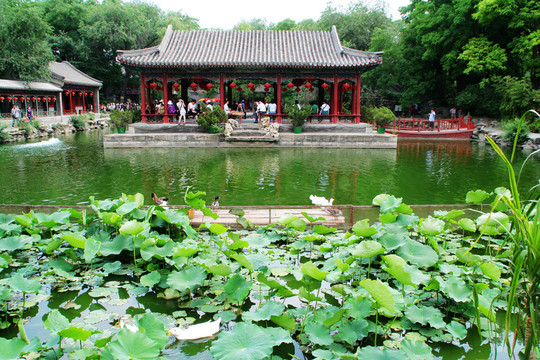 北京恭王府蓮花池