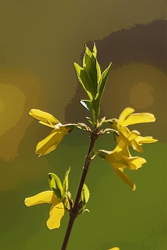 裝飾畫(huà)  無(wú)框畫(huà) 嫩芽