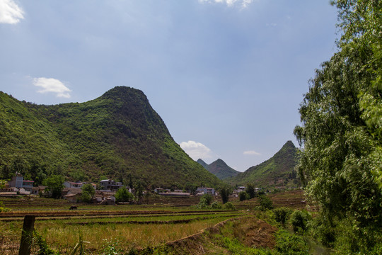 青山