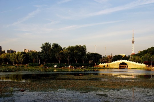 月湖公園