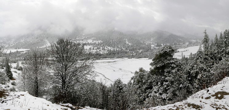 雪景