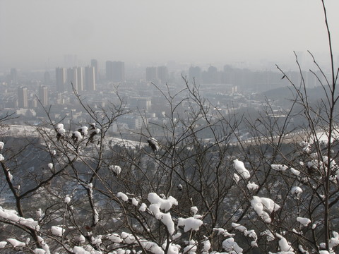 豐山上看滁州瑞雪