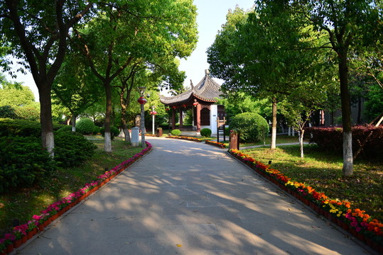 林間馬路