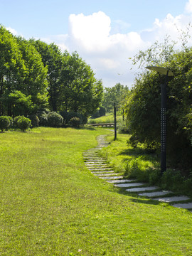 草地 草坪