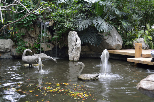 噴泉 水池 石雕