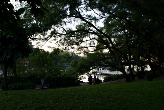公園一角