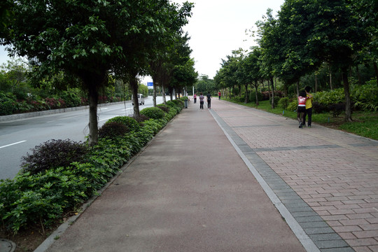 公路 地磚 道路 人行道