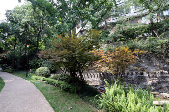 庭院景觀