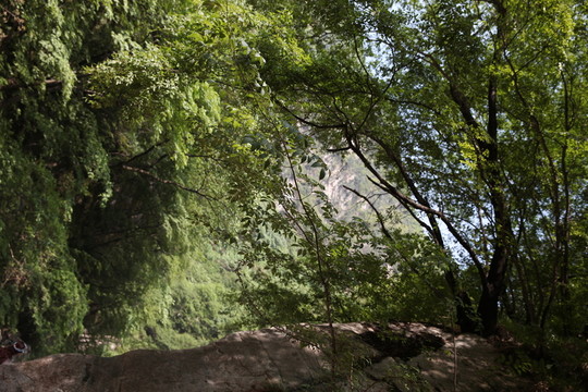 秦嶺