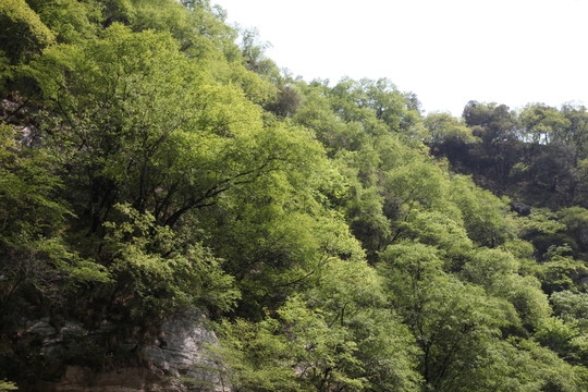 秦嶺