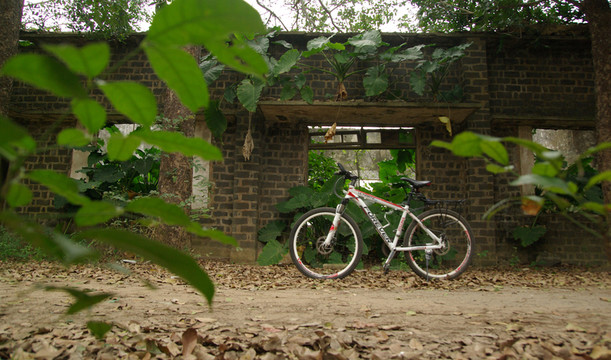 騎行山地車