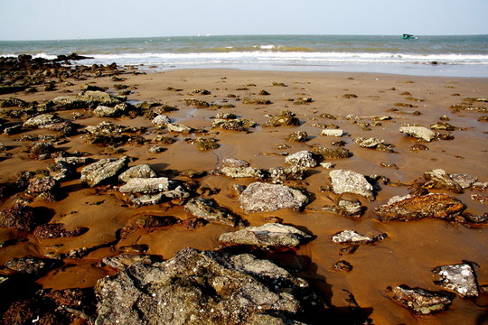 海灘