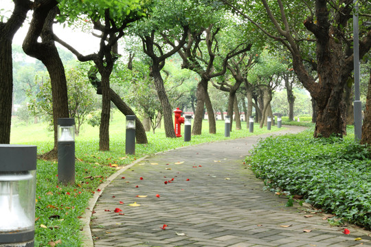 綠林小路