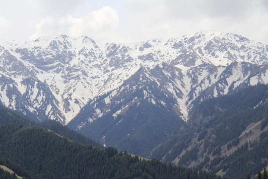雄偉的雪山