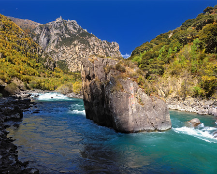 西藏尼洋河中流砥柱石塊