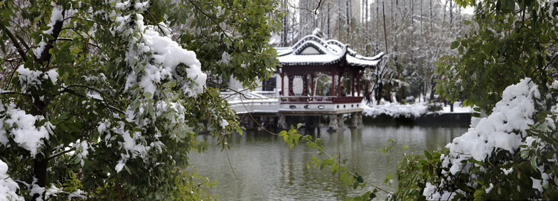包河冬景 合肥風(fēng)光