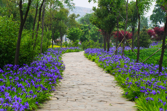 灞河濕地公園