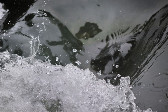 水