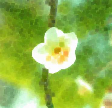 鮮花 抽象畫
