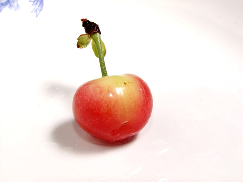 櫻桃