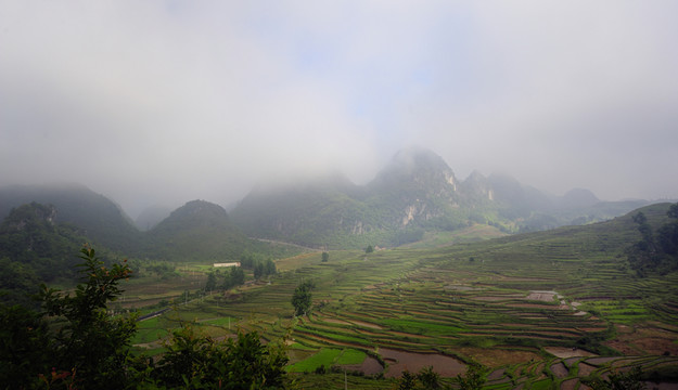 霧景