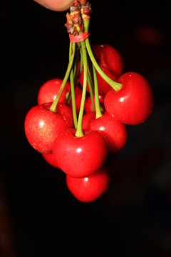 紅櫻桃