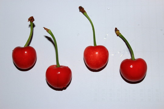紅櫻桃