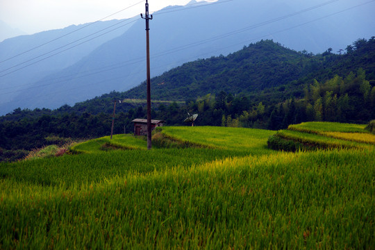 田野橫幅圖片