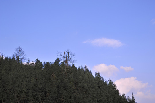 藍(lán)天