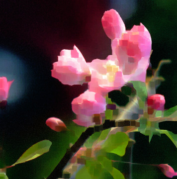 鮮花抽象畫