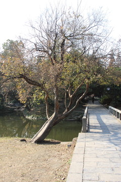 公園秋色
