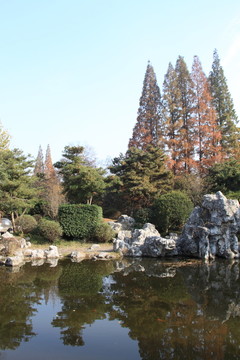 公園秋色