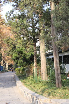 公園秋色