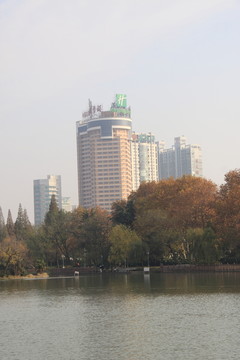 公園秋色